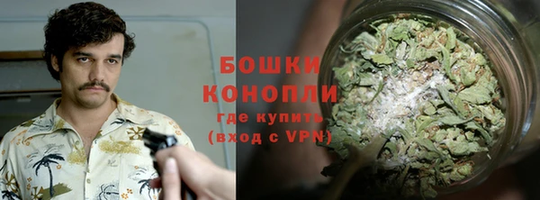apvp Лагань