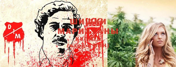 амф Анива