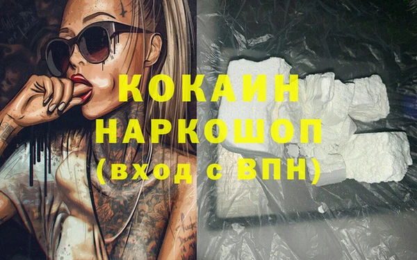гидра Анжеро-Судженск