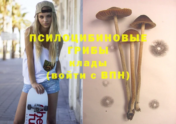 spice Липки