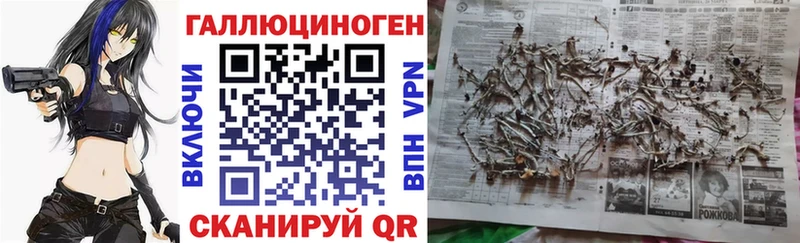 дарнет шоп  Мезень  Псилоцибиновые грибы GOLDEN TEACHER 